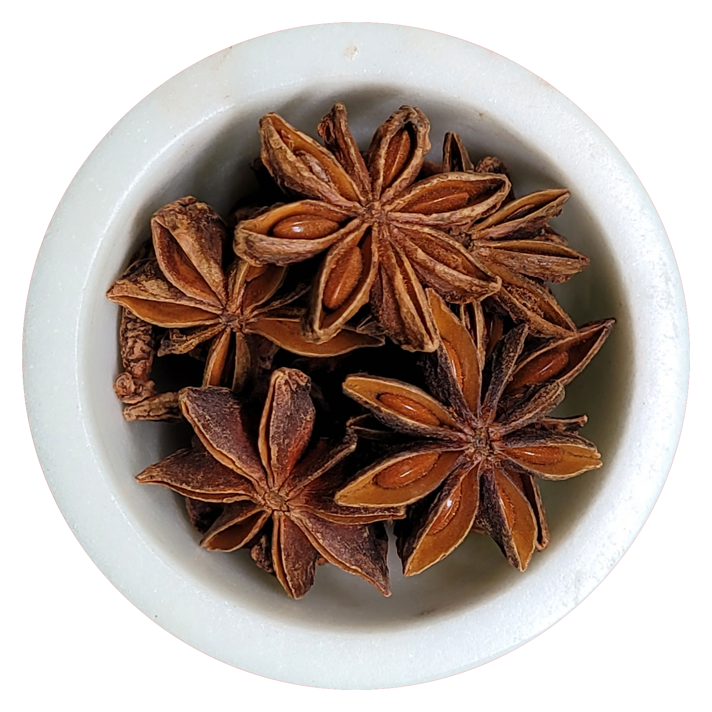 Anise Star