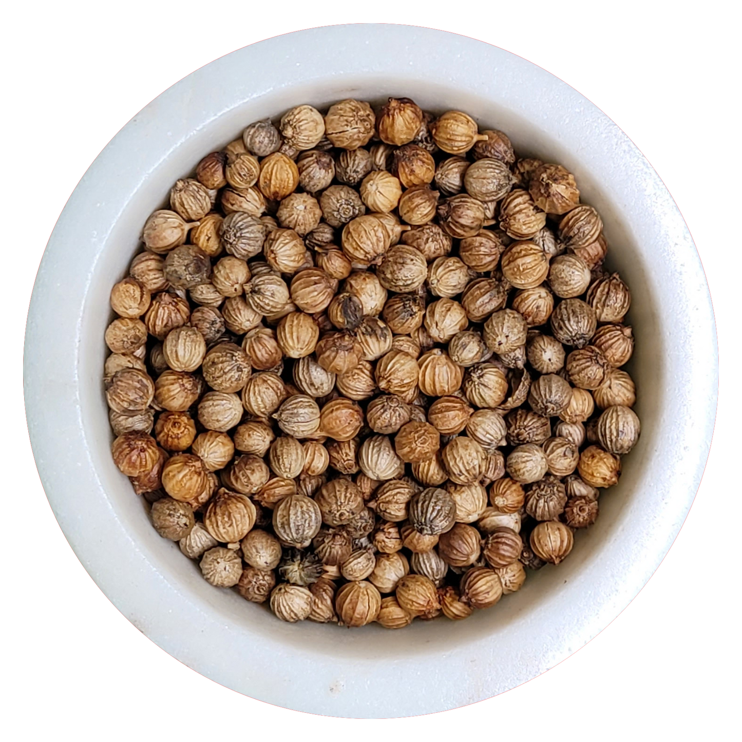 Coriander Seed