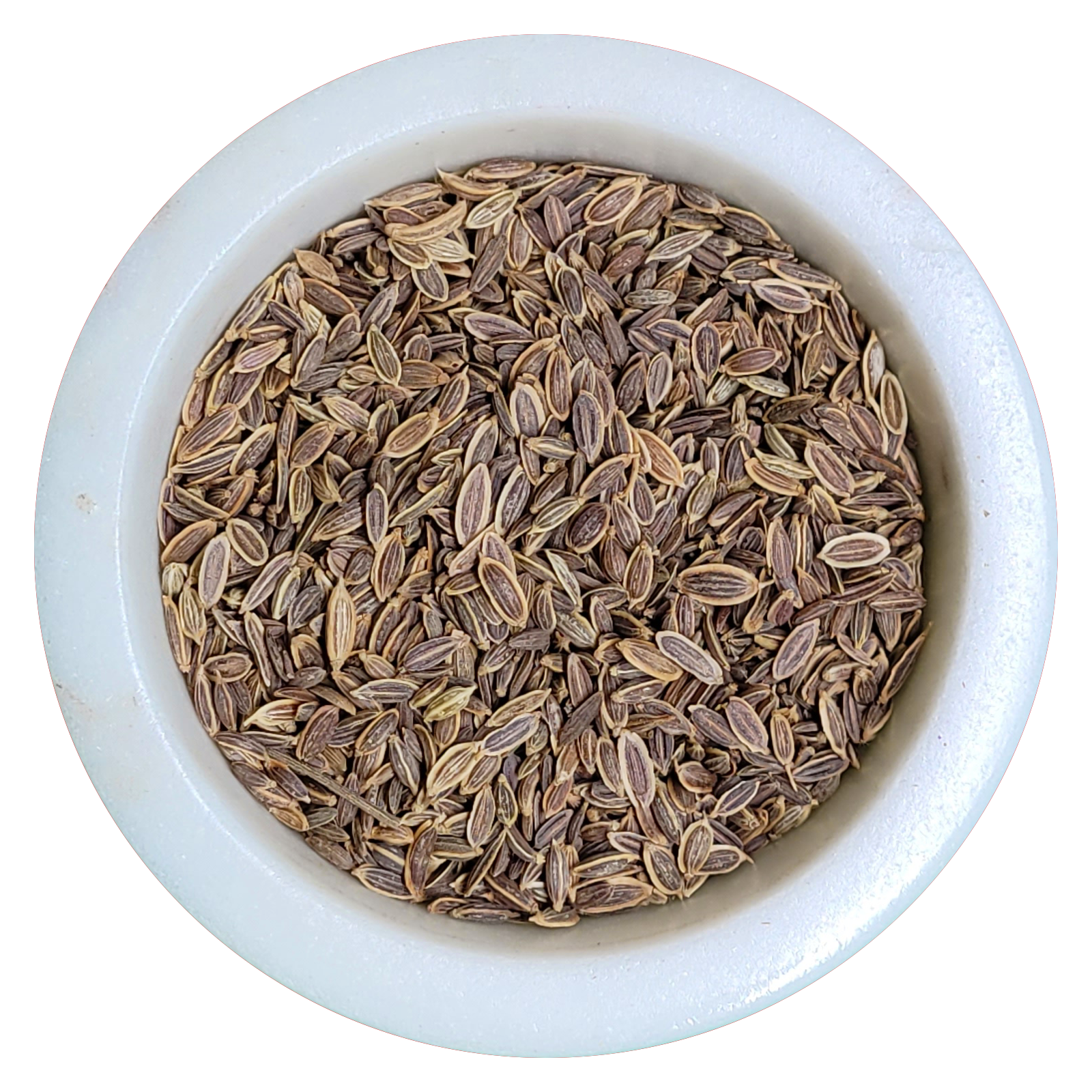 garden dill seeds Dill Seed: Great seafood herb – Starlight Herb & Spice Company