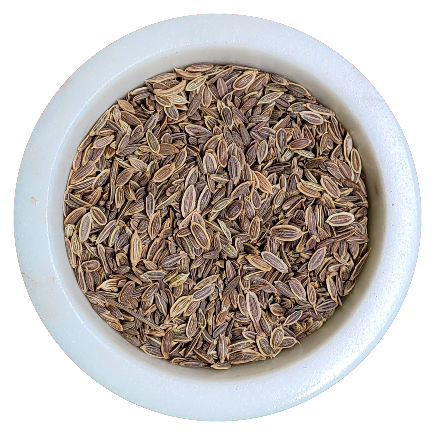 Dill Seed