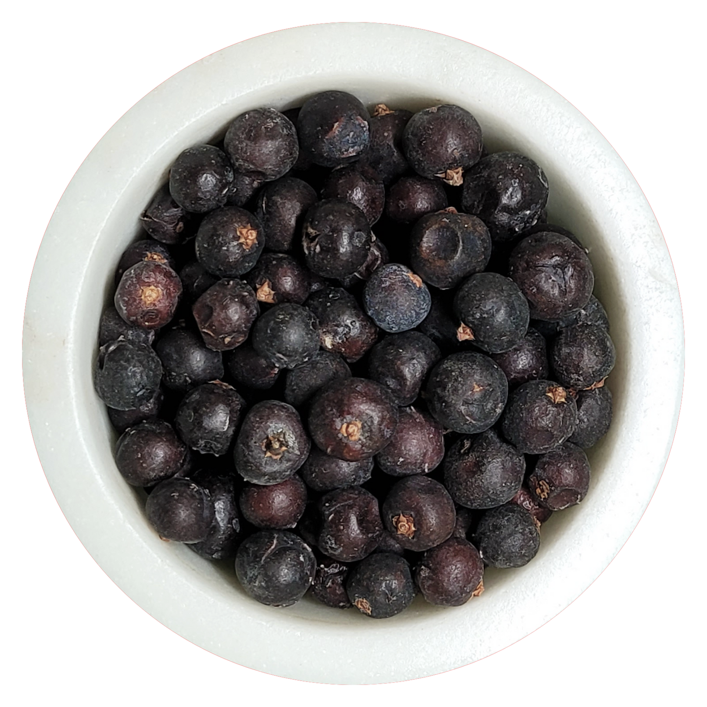 Juniper Berries