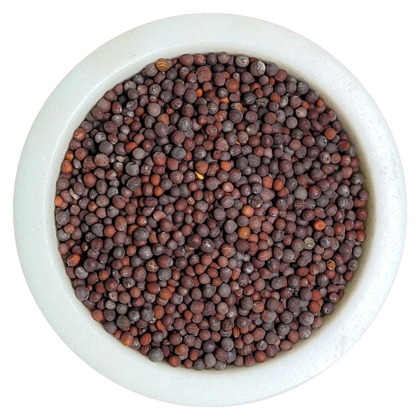 Mustard Seed, brown