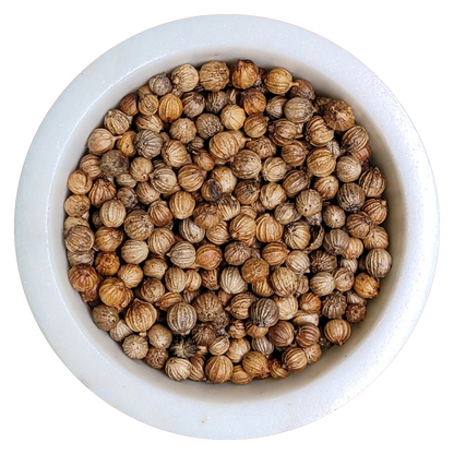 Coriander Seed