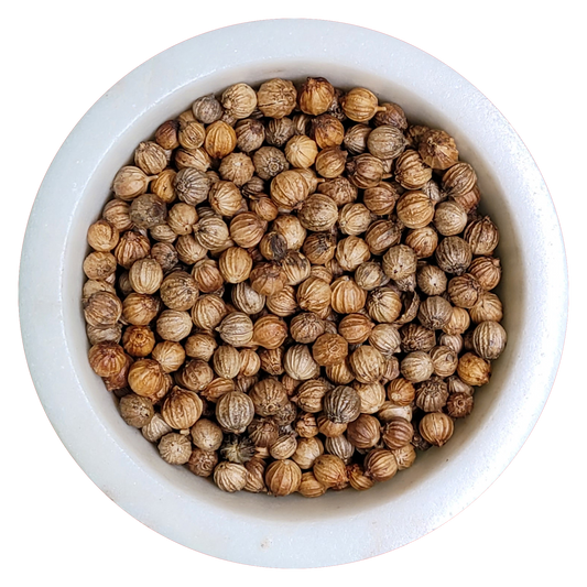 Coriander Seed