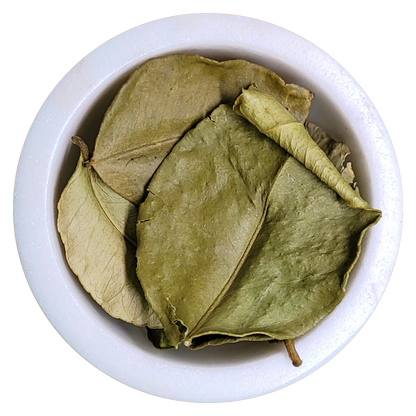 Kaffir (Makrut) Lime Leaves