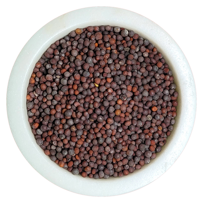 Mustard Seed, brown