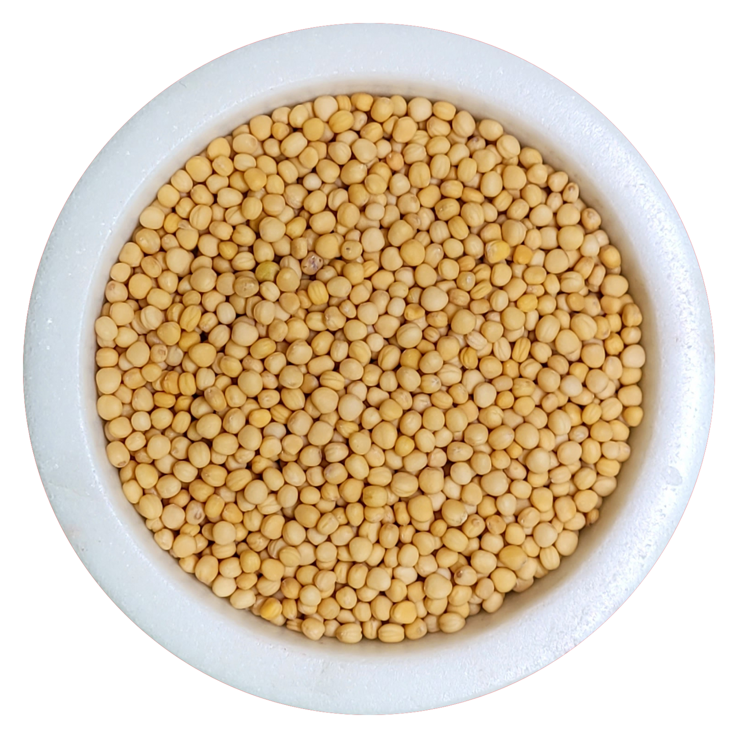 Mustard Seed, yellow